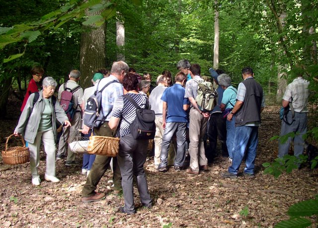 2009 06 Myco porte Baudet 13